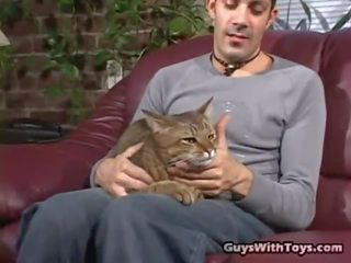 Macska és schlong szerető